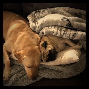 Meet your Posher, Kim